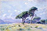 William Stanley Haseltine Canvas Paintings - Cannes